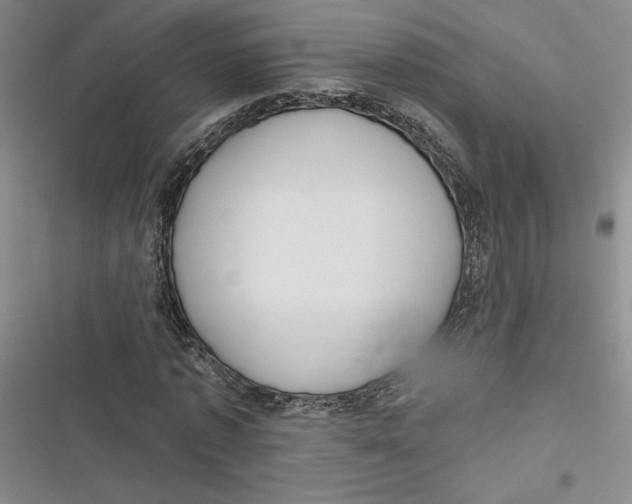 X0000116890773201001121343