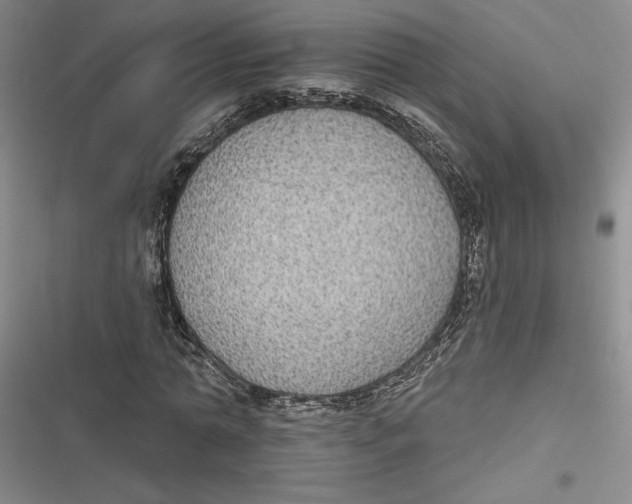 X0000116890774201001121343