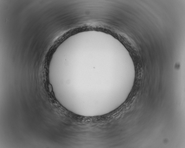 X0000116890776201001121343