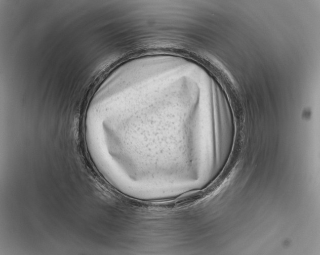 X0000116890777201001121342