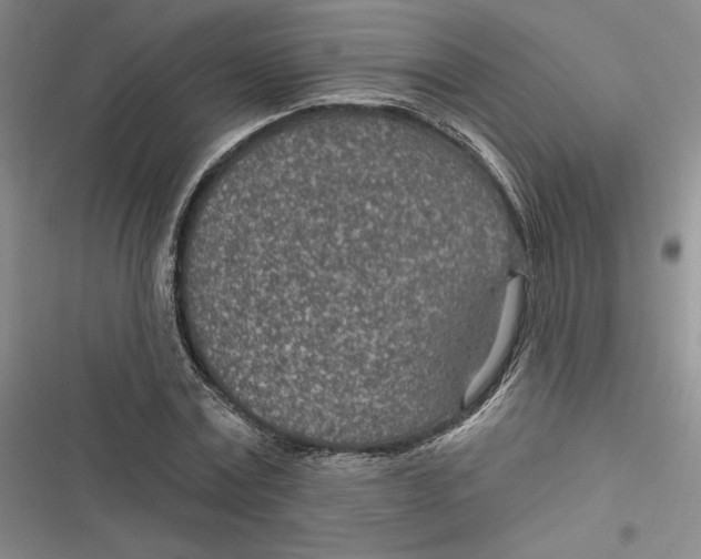 X0000116890779201001121342