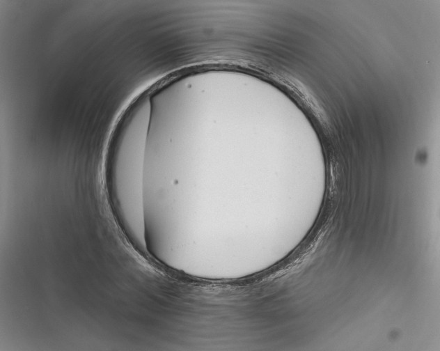 X0000116890780201001121342