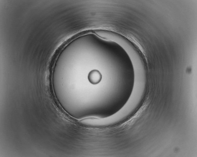 X0000116890781201001121342