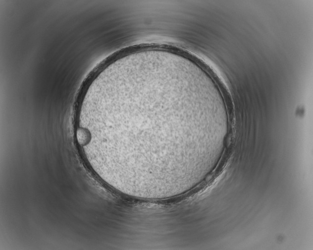 X0000116890783201001121342