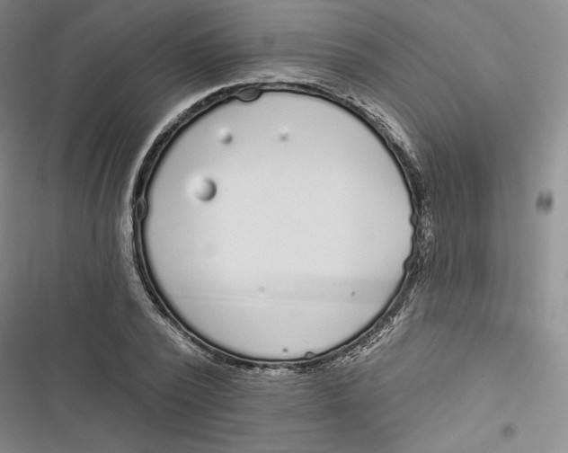 X0000116890784201001121342