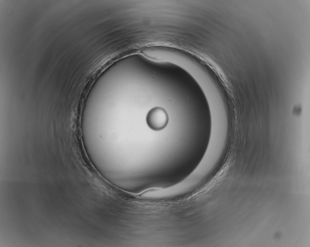 X0000116890785201001121342