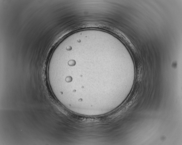 X0000116890786201001121342