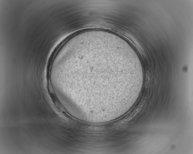 X0000116890788201001121342