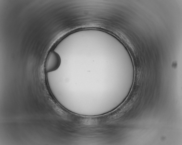 X0000116890789201001121342