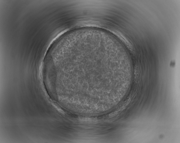 X0000116890790201001121342