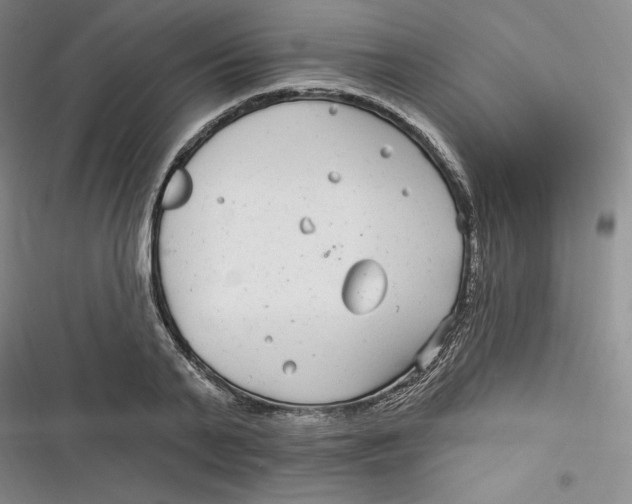 X0000116890791201001121342