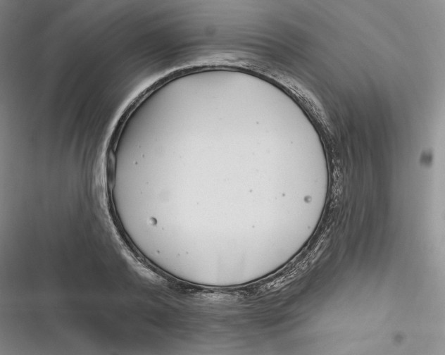 X0000116890792201001121342