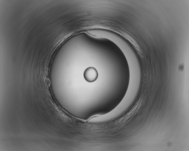 X0000116890793201001121342