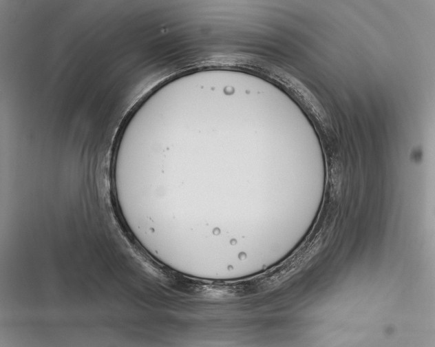 X0000116890794201001121342