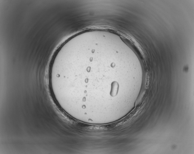 X0000116890795201001121342