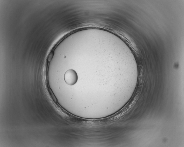 X0000116890796201001121342