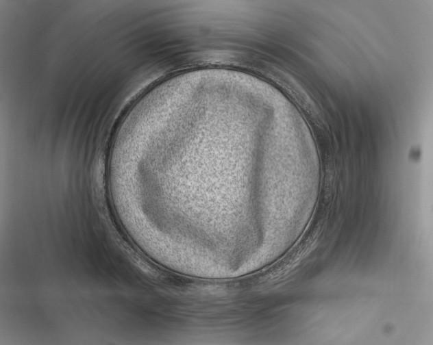 X0000116890798201001121342