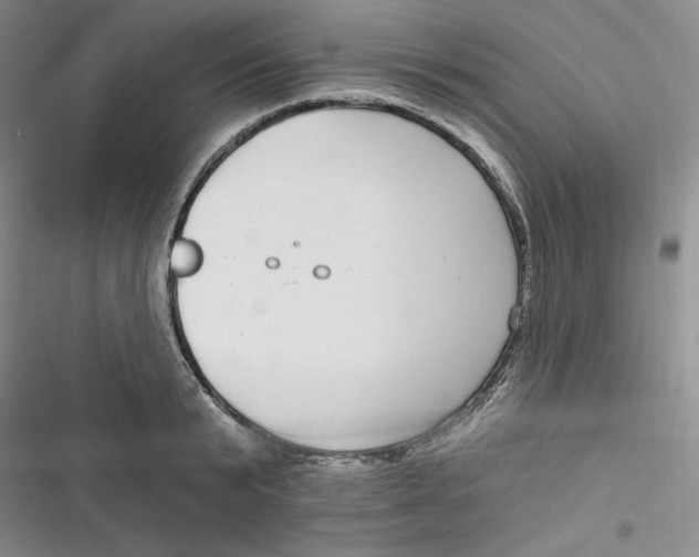 X0000116890799201001121342