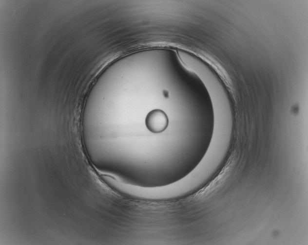 X0000116890801201001121342