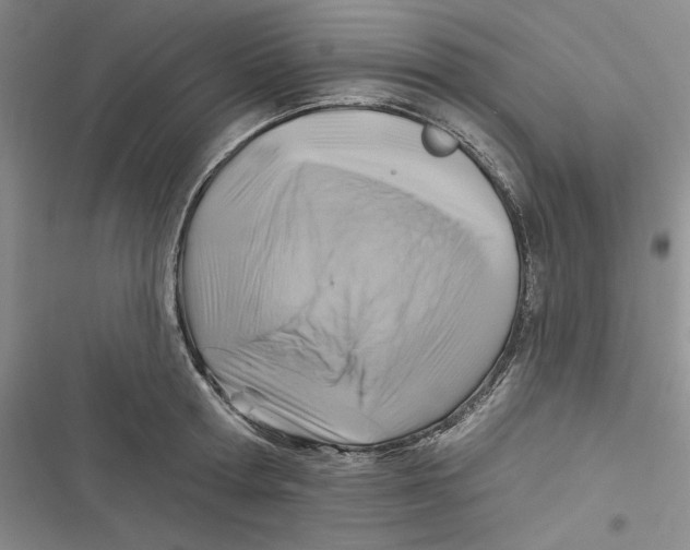 X0000116890802201001121342