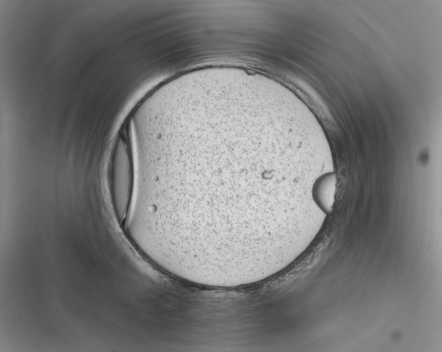 X0000116890804201001121342