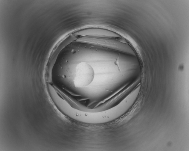 X0000116890807201001121342