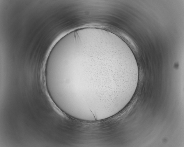 X0000116890808201001121342