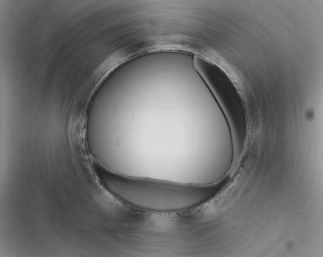 X0000116890809201001121342