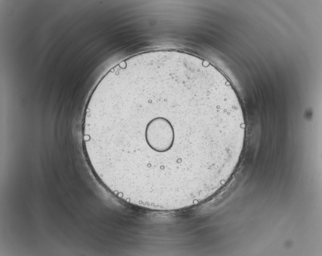 X0000116890810201001121342