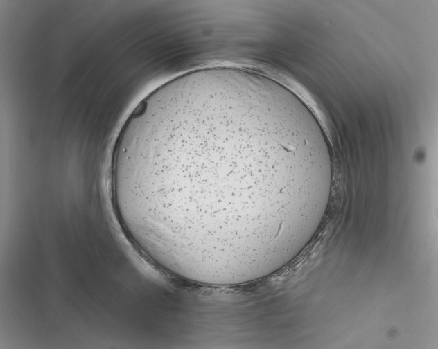 X0000116890811201001121342