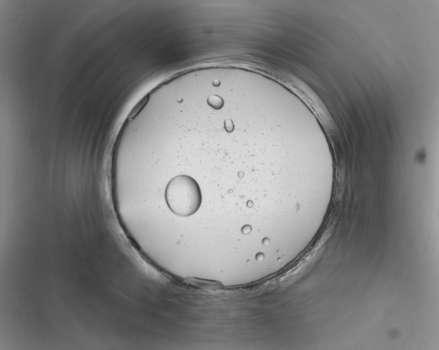 X0000116890812201001121342