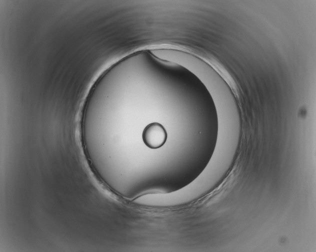 X0000116890813201001121342