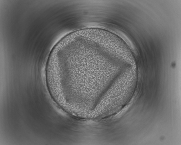 X0000116890814201001121342