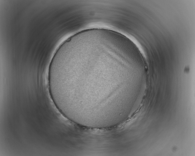 X0000116890815201001121342