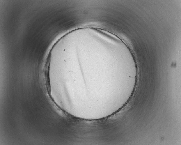 X0000116890816201001121342