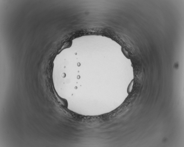 X0000116890817201001121341