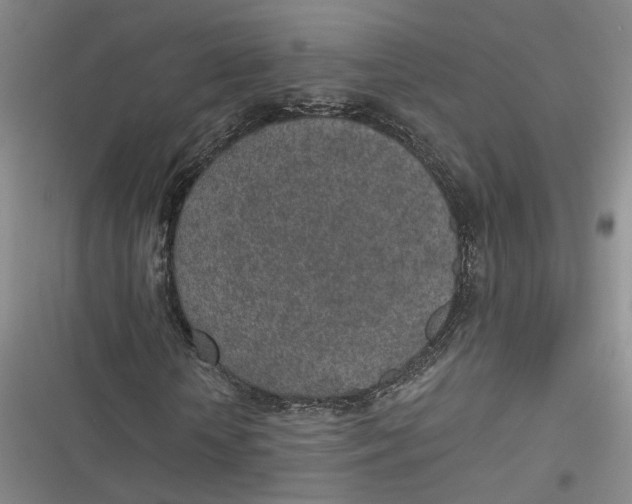 X0000116890818201001121341