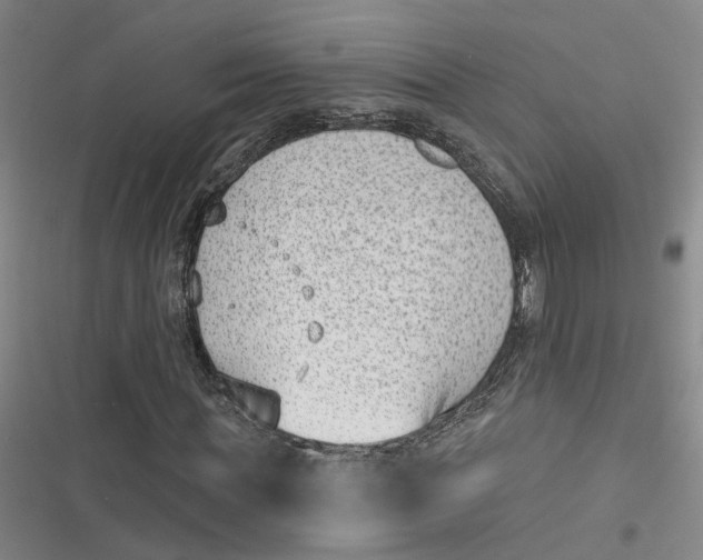 X0000116890819201001121341