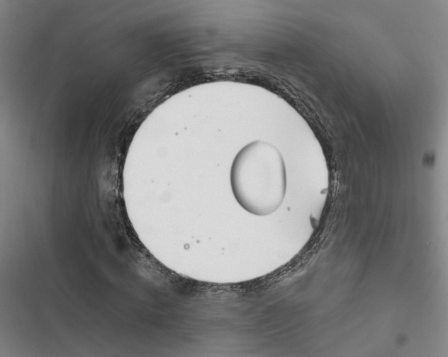 X0000116890820201001121341