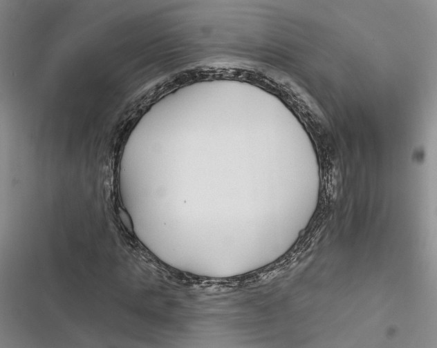 X0000116890821201001121341