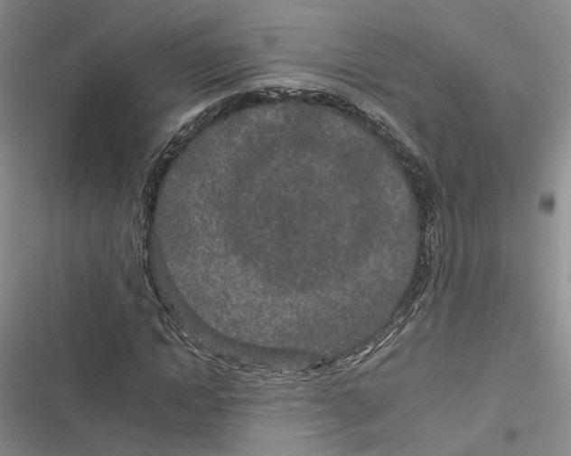 X0000116890822201001121341