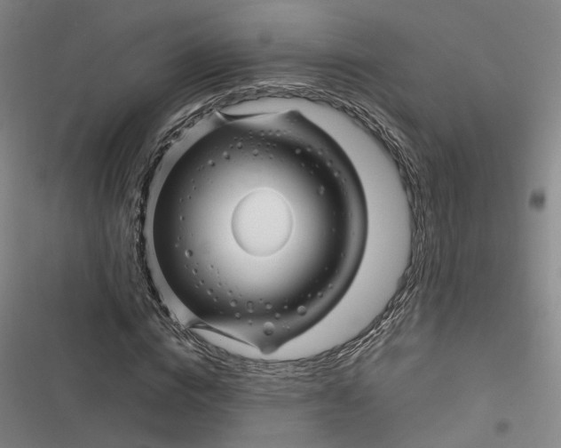 X0000116890824201001121341