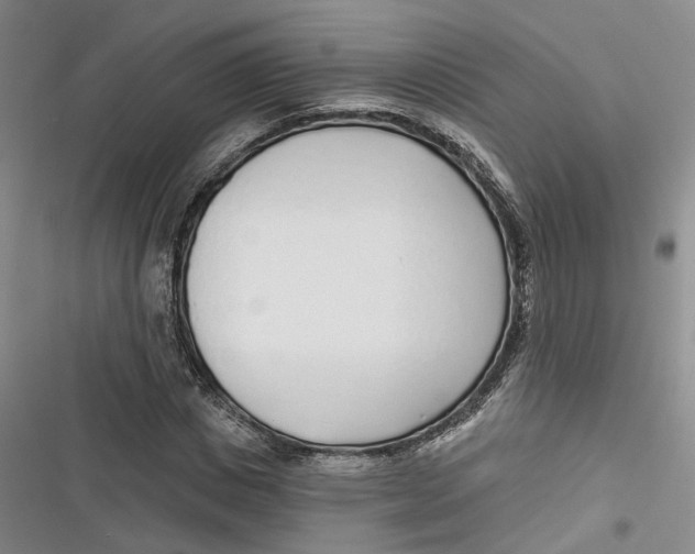 X0000116890825201001121341