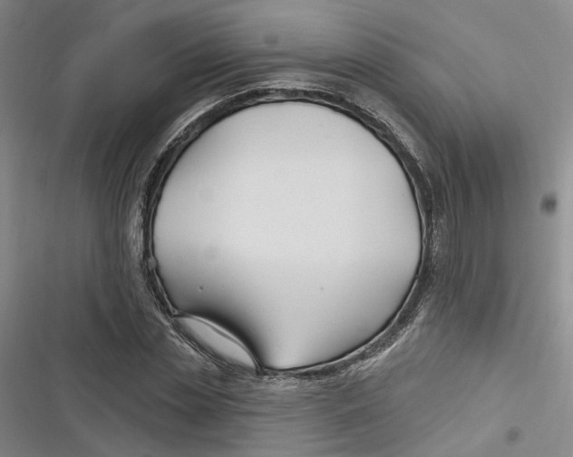 X0000116890829201001121341