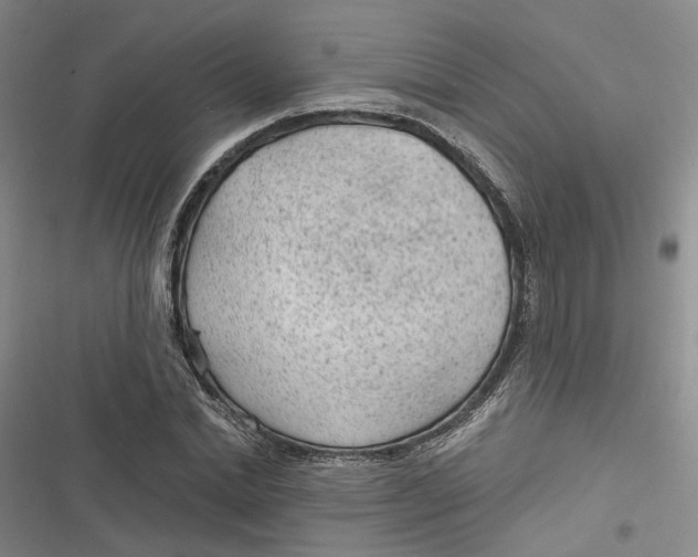 X0000116890830201001121341