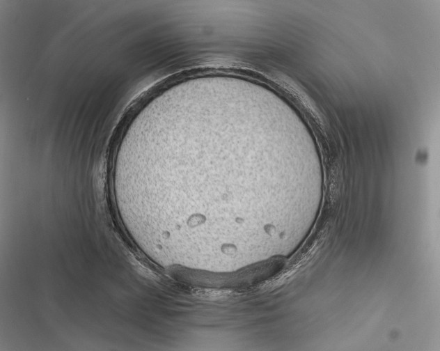 X0000116890831201001121342