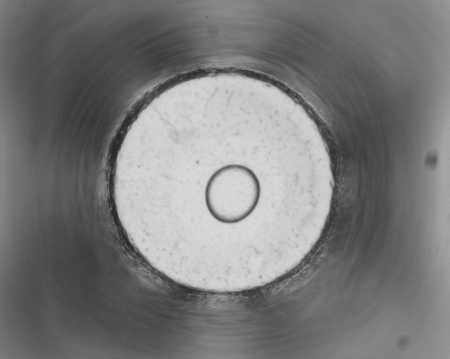 X0000116890832201001121342