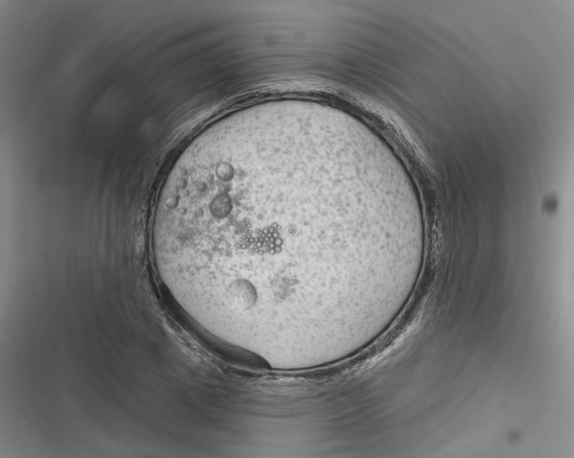 X0000116890833201001121342