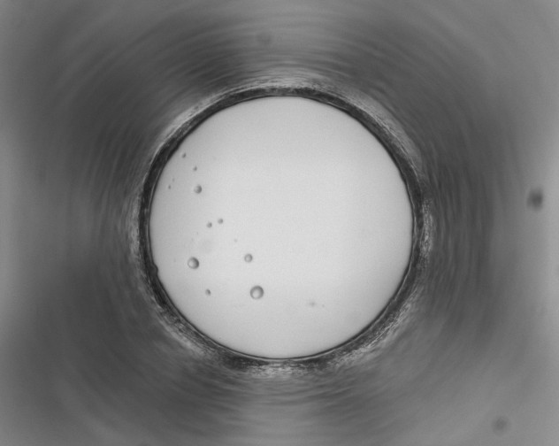 X0000116890834201001121342