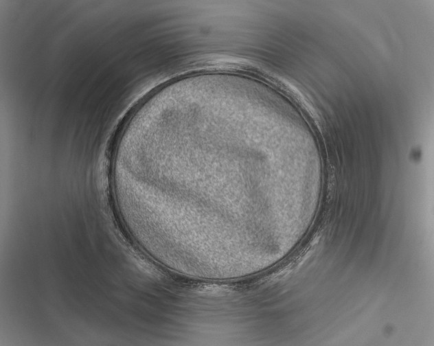 X0000116890835201001121342